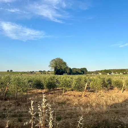Szálloda Domaine De Panery Pouzilhac