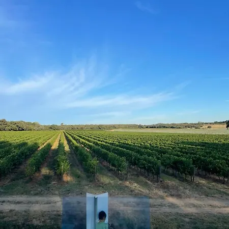 Domaine De Panery *