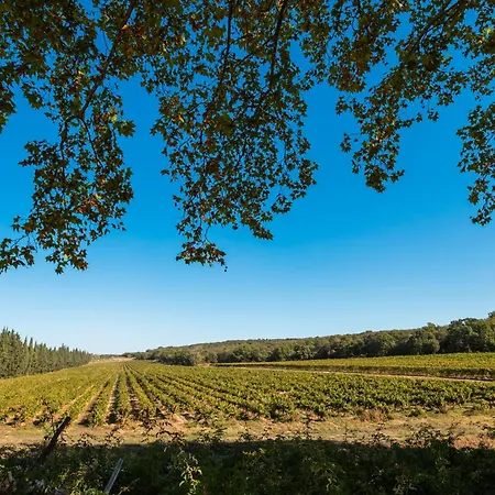 Domaine De Panery